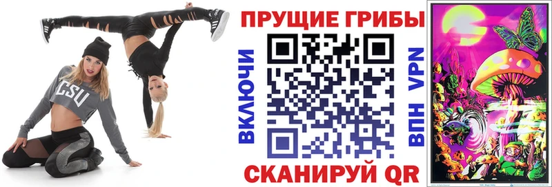 Галлюциногенные грибы Magic Shrooms  сколько стоит  МЕГА онион  Черногорск 